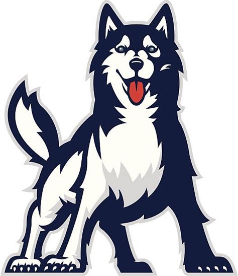 The husky mascot of uw